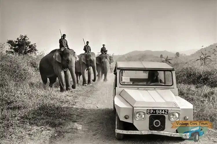 Bureau Vintage Cars Tours Vietnam à Hoi An